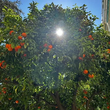 La Dependance Prázdninový dům Alassio