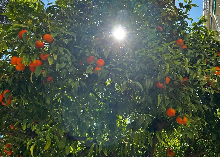 La Dependance Nyaraló Alassio